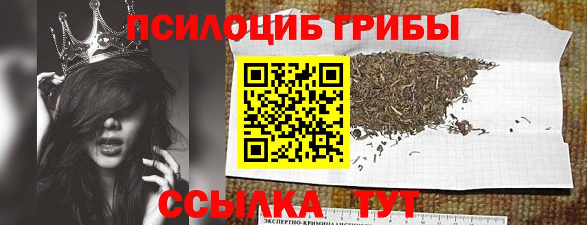 дарнет шоп  Псилоцибиновые грибы мухоморы  Вход с VPN  Челябинск  Псилоцибиновые грибы Cubensis 