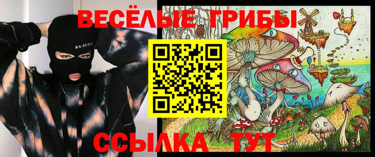 Псилоцибиновые грибы прущие грибы Челябинск